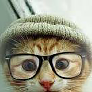 Rick J's Handicapping