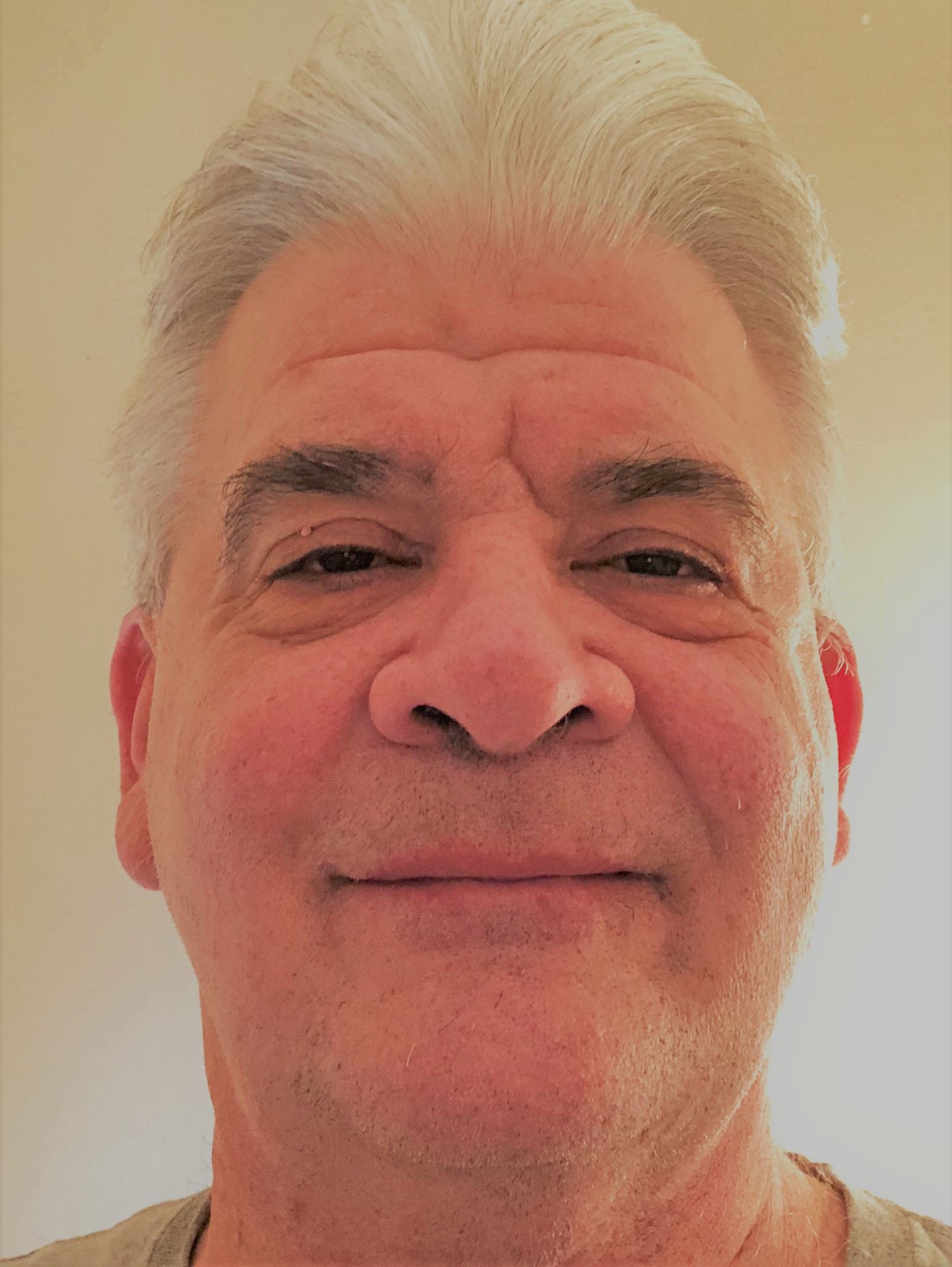 Pro Network Sports Bets